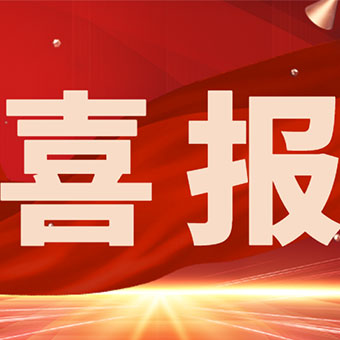 開局即領跑！河南豐博以硬核實力，解鎖馬年 “第一份榮耀”