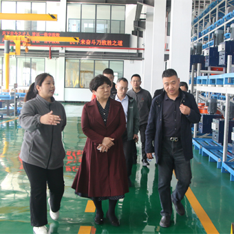 河南省建筑材料工業協會會長王愛貞、秘書長丁振宇蒞臨河南豐博自動化有限公司考察